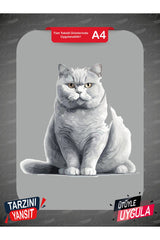 Kedi 11 DTF Transfer Kağıdı A4 - Ütüyle Yapıştır - Dyenote