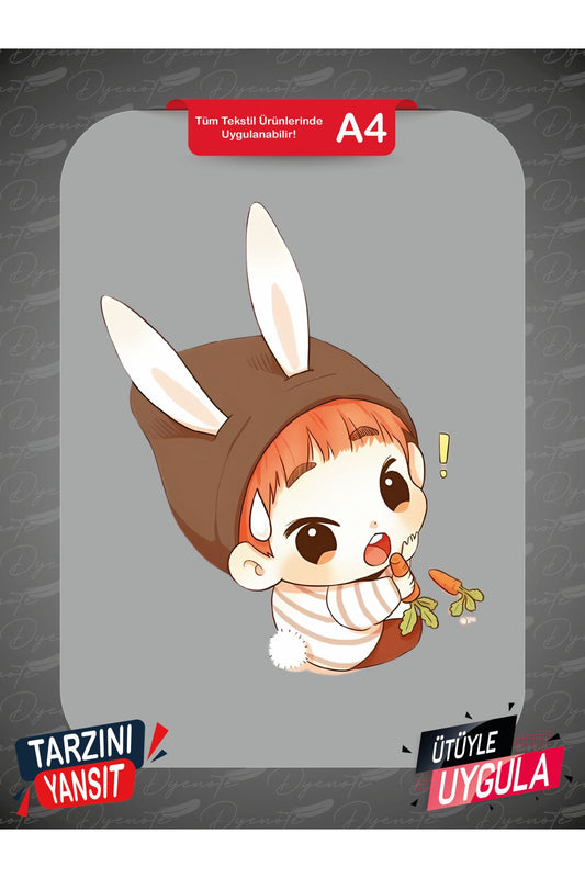 Stray Kids Donny DoBunny DTF Transfer Kağıdı A4 - Ütüyle Yapıştır