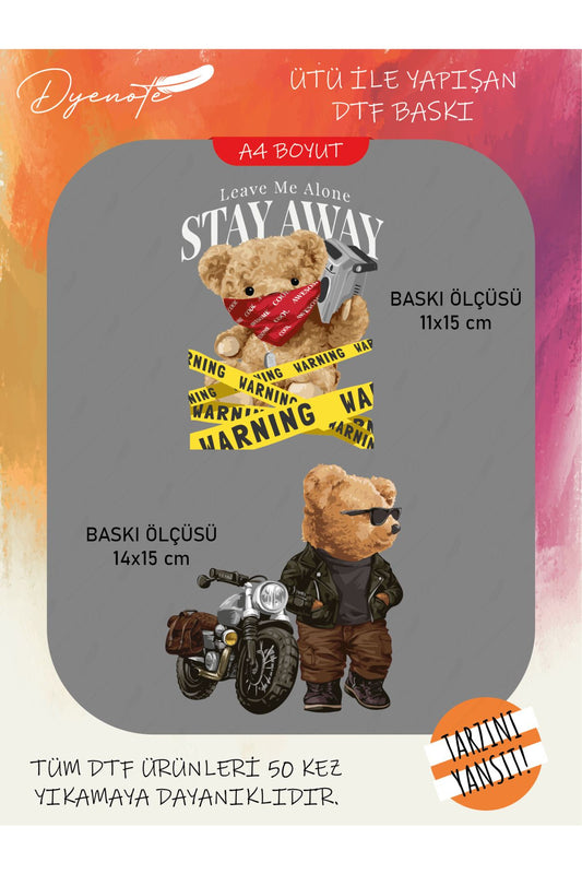 Teddy Ayıcık 5 DTF Transfer Kağıdı A4 - Ütüyle Yapıştır