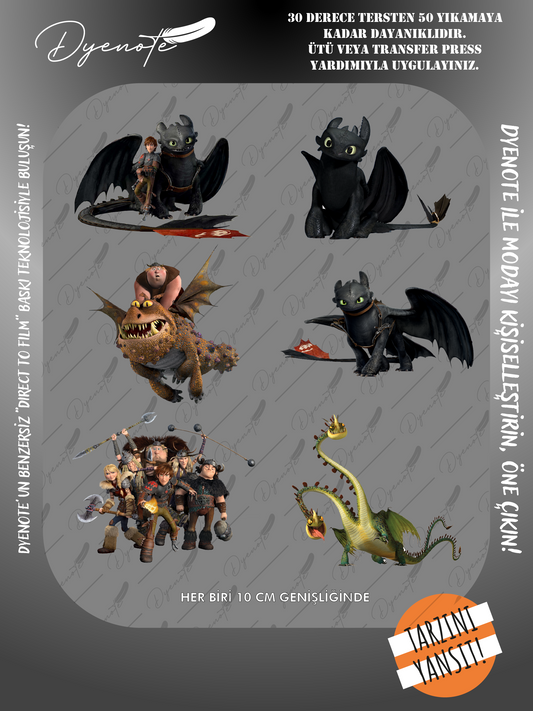 Ejderhanı Nasıl Eğitirsin Baskı - Ütüyle Yapıştır - 21x29 CM